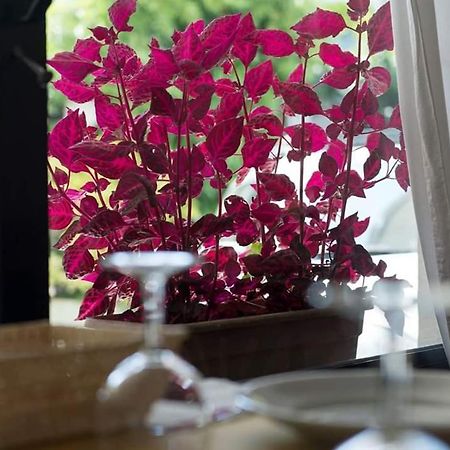 Hotel Annarita Римини Екстериор снимка