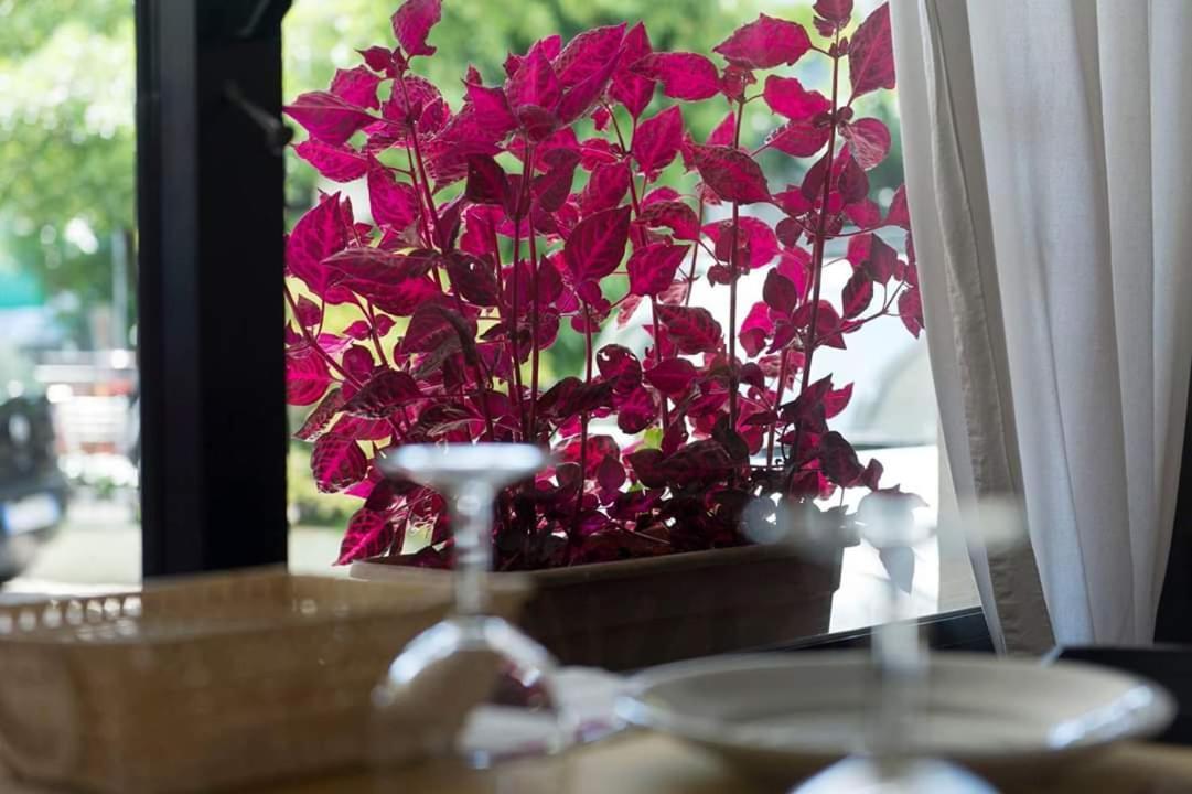 Hotel Annarita Римини Екстериор снимка